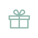 package/ present icon