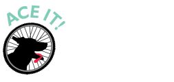 Ace It! Bike Tours
