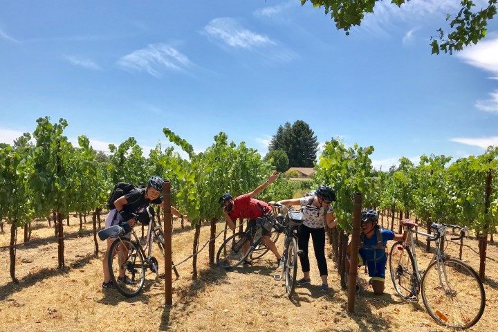 Group playing in a vineyard