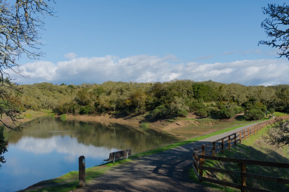 a bridge over a body of water